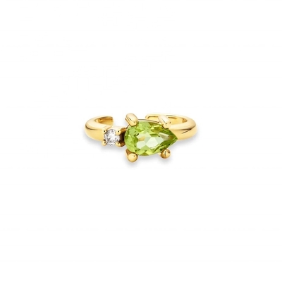 18K Oro Revestido 925 Plata Esterlina Tendencia Diseño Perra Corte Peridot CZ manguito Aretes